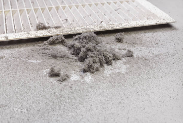 Best HVAC Duct Inspection Services  in Keewatin, MN