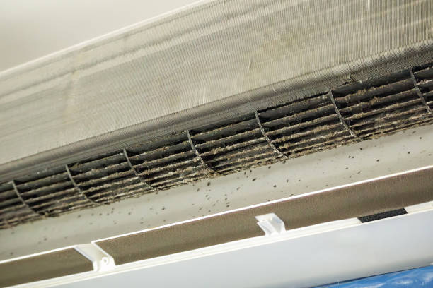 Best Ventilation Cleaning Services  in Keewatin, MN